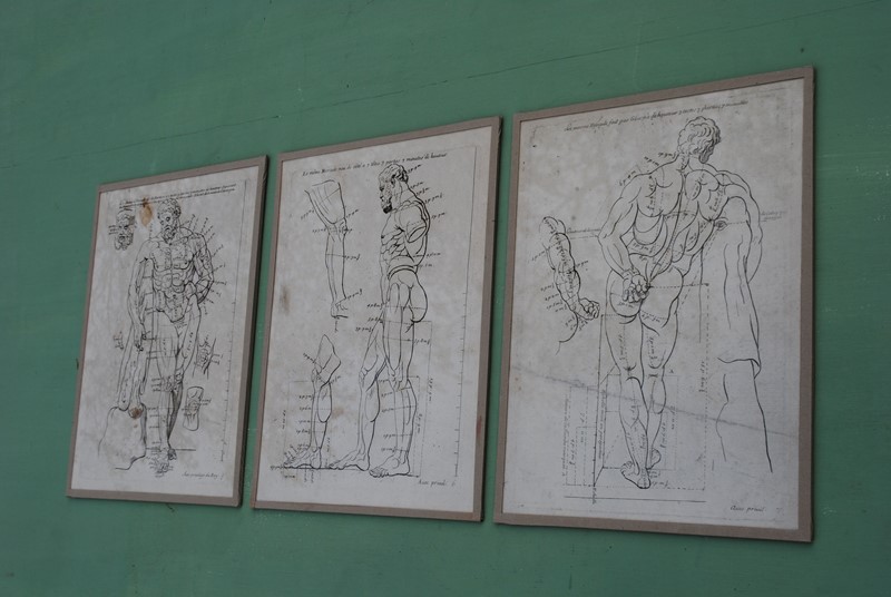 3 prints of the "Farnese Hercules" -inglis-hall-antiques-DSC_0389-main-636789454006266222.JPG