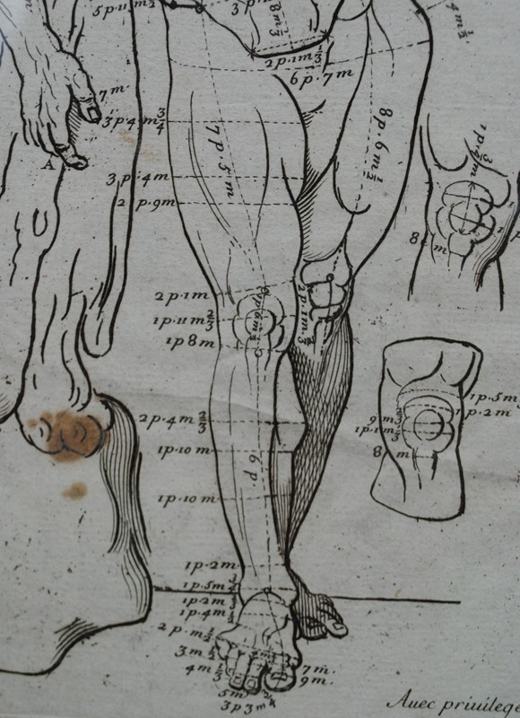 3 prints of the "Farnese Hercules" -inglis-hall-antiques-DSC_0392-main-636789454073297065.JPG