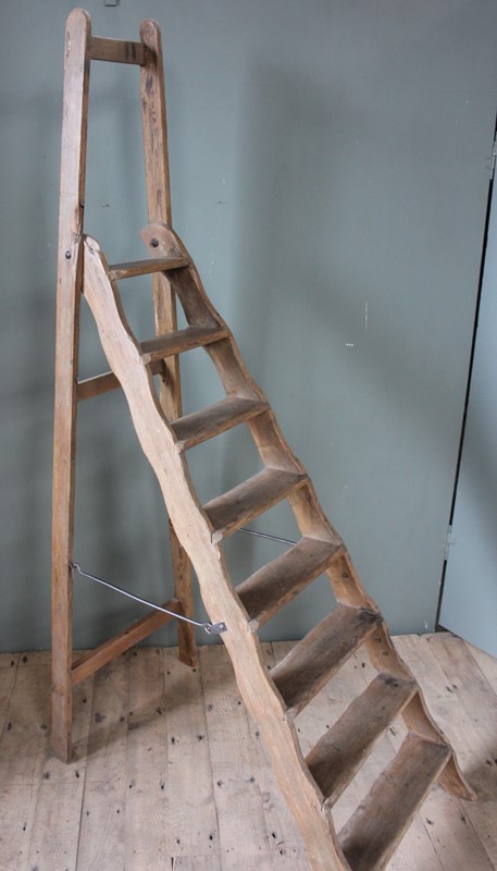 Antique Library Step Ladder-inglis-hall-antiques-img-5553-main-637495111200550444.JPG