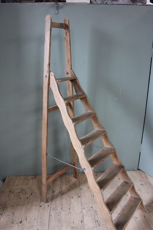Antique Library Step Ladder-inglis-hall-antiques-img-5553-main-637495115623651554.JPG