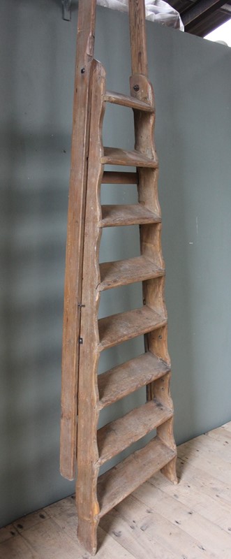 Antique Library Step Ladder-inglis-hall-antiques-img-5670-main-637497544597913380.JPG