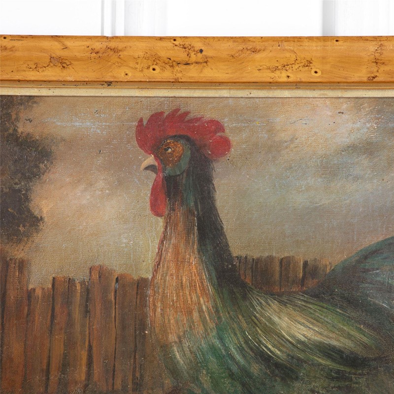 C19th Oil On Canvas Of A Cockerel-jake-wright-antiques-tumbnail-a7e0b635-8543-4c29-8a70-89bf1ef1846d-main-637390541218566962.jpg