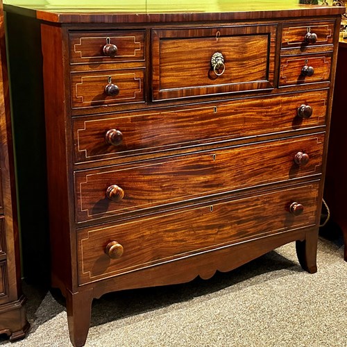 Regency Scotch Chest In Mahogany