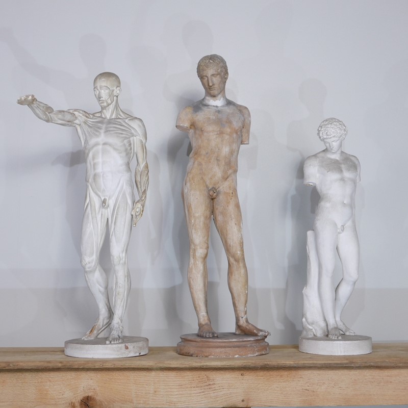 Anatomical Écorché Sculpture-joseph-berry-interiors-img-3856-main-636810126122465746.JPG