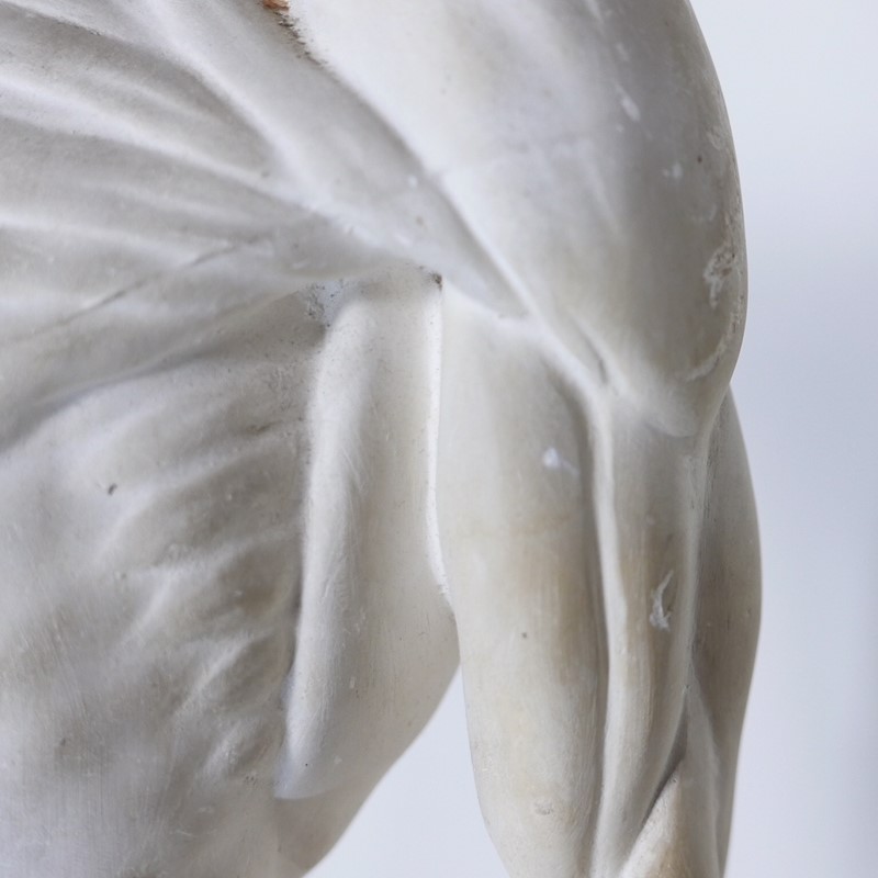Anatomical Écorché Sculpture-joseph-berry-interiors-img-3858-main-636810126138094667.JPG