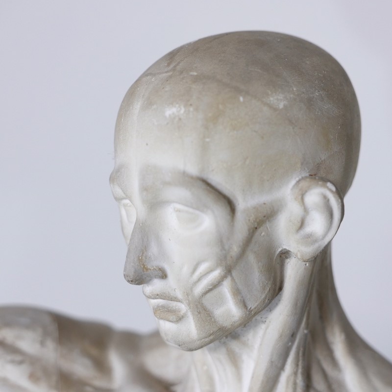 Anatomical Écorché Sculpture-joseph-berry-interiors-img-3860-main-636810126153715337.JPG