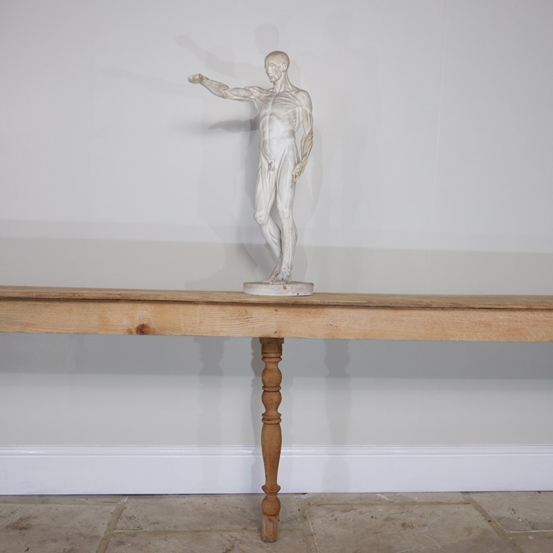 Anatomical Écorché Sculpture-joseph-berry-interiors-img-3870-main-636810126208715085.JPG