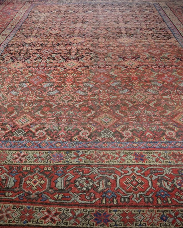 Antique Persian Feraghan carpet-joshua-lumley-ltd-1695-3-main-637854501743069114.jpg