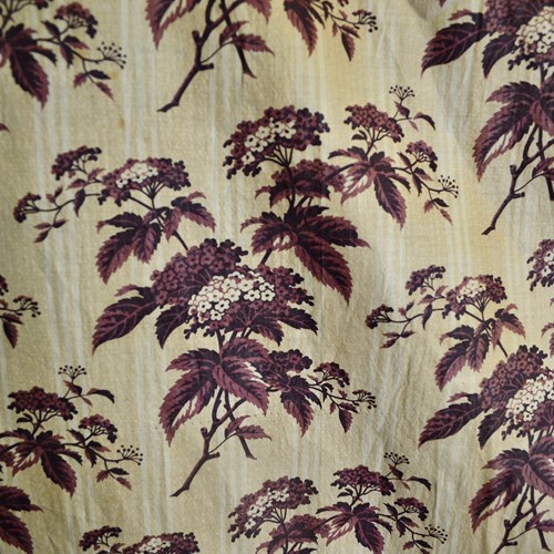 Brown Floral Chintz French 19Th Century