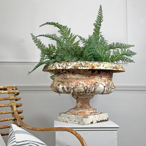  19Th Century Cast Iron French Tazza Urn