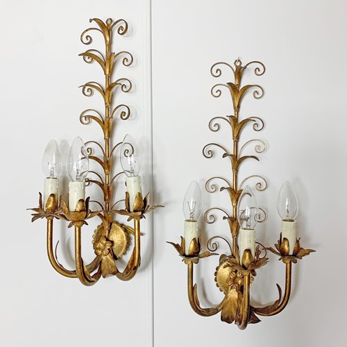 Pair Of Mid Century French Curly Gilt Metal Leaf Wall Sconce's 1960