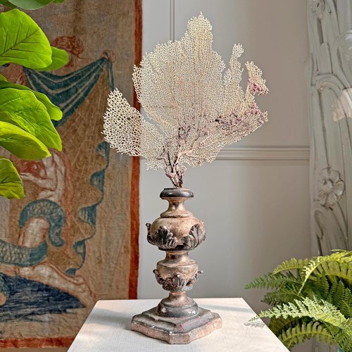 Magnificent 18Th Century Italian Wood And Gesso Altar Vase In Rose Silver