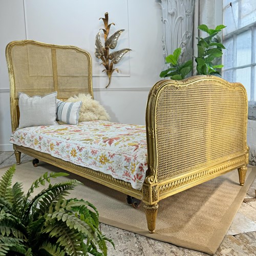 Circa 1900 Maple And Co Of England Giltwood Bergere Cane Bed