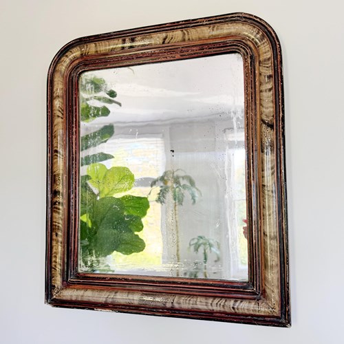 19Th Century Trompe L'oeil Louis Philippe 'Tiger' Mirror