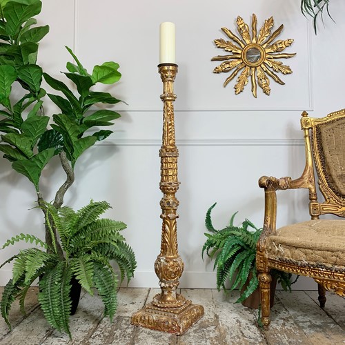 18Th Century Tall Baroque Altar Gold Pricket Candlestick