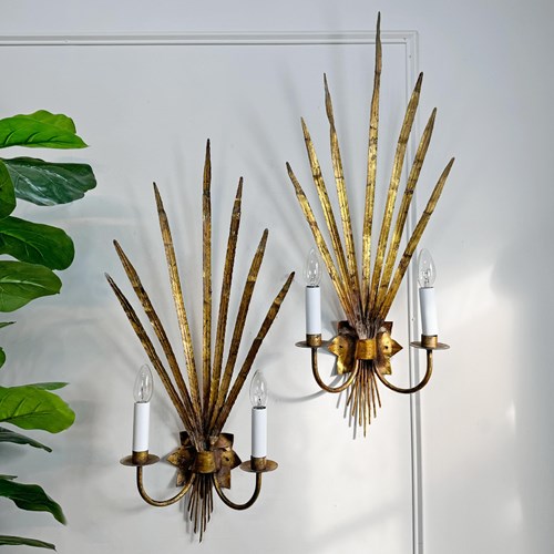 A Fine Pair Of Large Scale 1950'S Gold Reed Leaf Wall Lights By Ferrocolor Spain