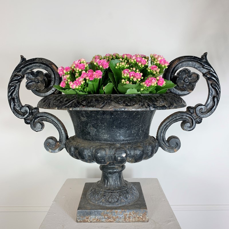  Antique French Cast Iron Urn With Decorative Hand-lct-home-lct-home-french-urn-1-main-637719603076365922.JPG