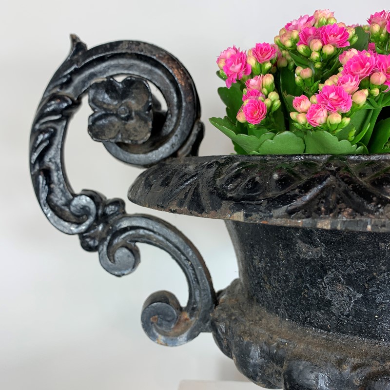  Antique French Cast Iron Urn With Decorative Hand-lct-home-lct-home-french-urn-4-main-637719603641675164.JPG