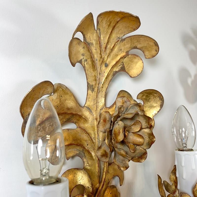 Set Of 3 Italian Gilt Metal Acanthus Leaf Wall Lights-lct-home-lct-home-italian-acanthus-leaf-walll-sconces-1-main-638149173484875357.jpg