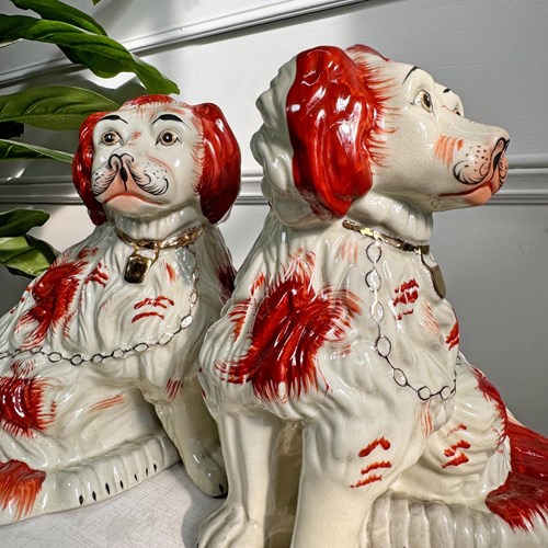 Pair Of 19Th C Staffordshire Dogs