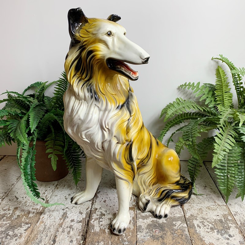 1950'S Large Rough Collie Ceramic Dog-lct-home-lct-lassie-dog-1-main-637622887678925050.JPG
