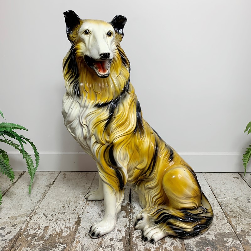 1950'S Large Rough Collie Ceramic Dog-lct-home-lct-lassie-dog-2-main-637622887723912777.JPG