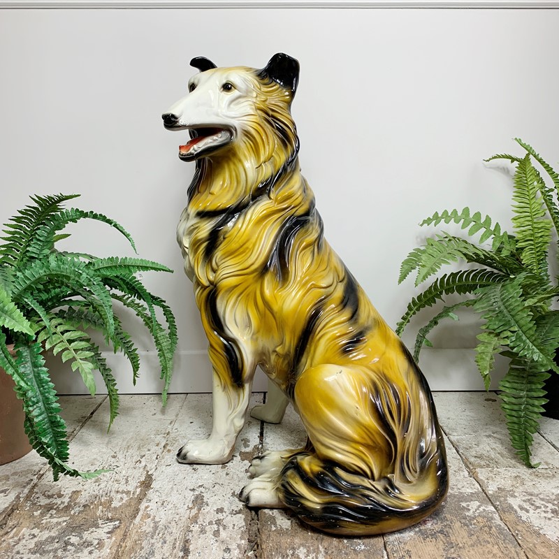 1950'S Large Rough Collie Ceramic Dog-lct-home-lct-lassie-dog-3-main-637622887764850427.JPG