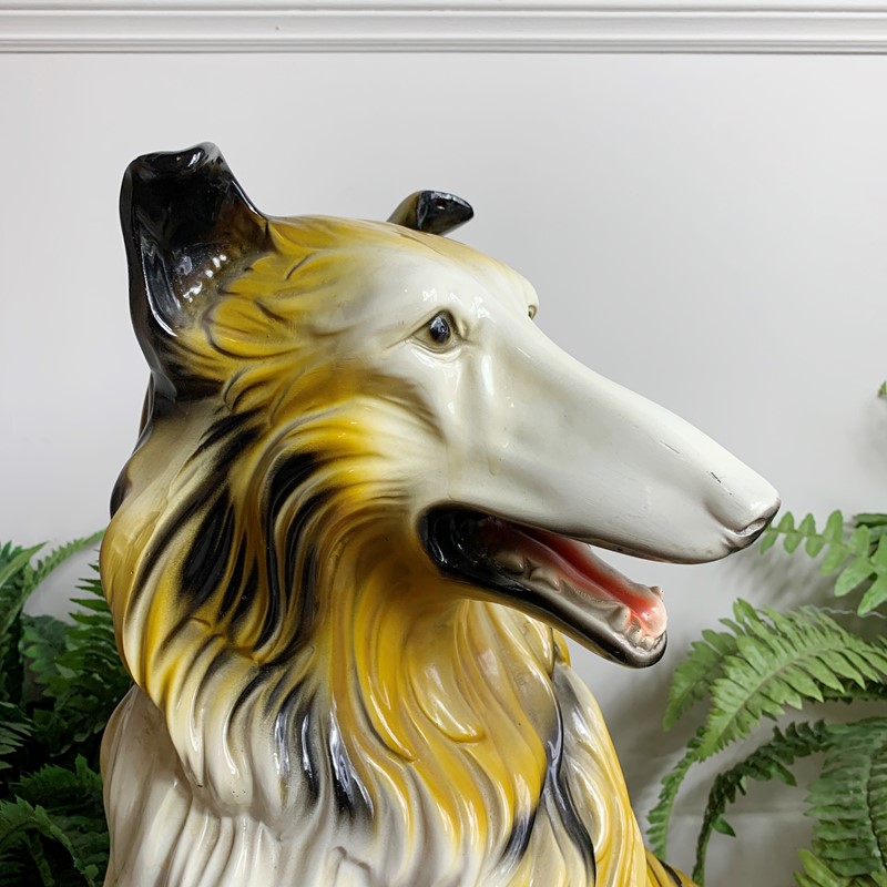 1950'S Large Rough Collie Ceramic Dog-lct-home-lct-lassie-dog-4-main-637622887810162922.JPG