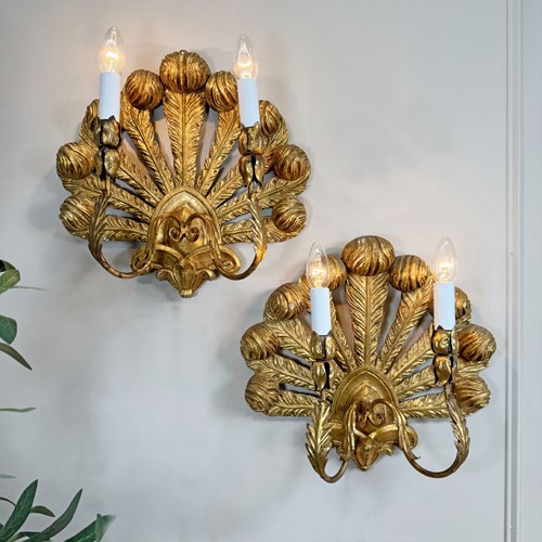 Stunning Pair Of Large Ostrich Feather Plume Giltwood Wall Lights Italian 1950'S
