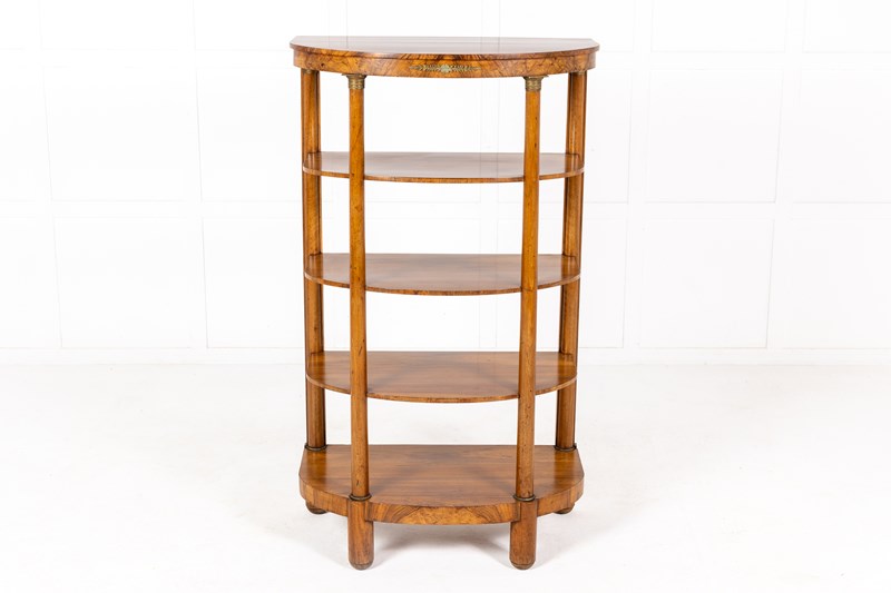 19Th Century French Walnut Display Stand/Étagère-lee-wright-antiques-230504op094-main-638204376521205979.jpg