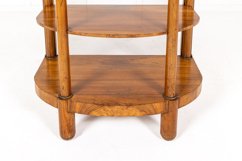 19Th Century French Walnut Display Stand/Étagère-lee-wright-antiques-230504op097-main-638204376641208643.jpg