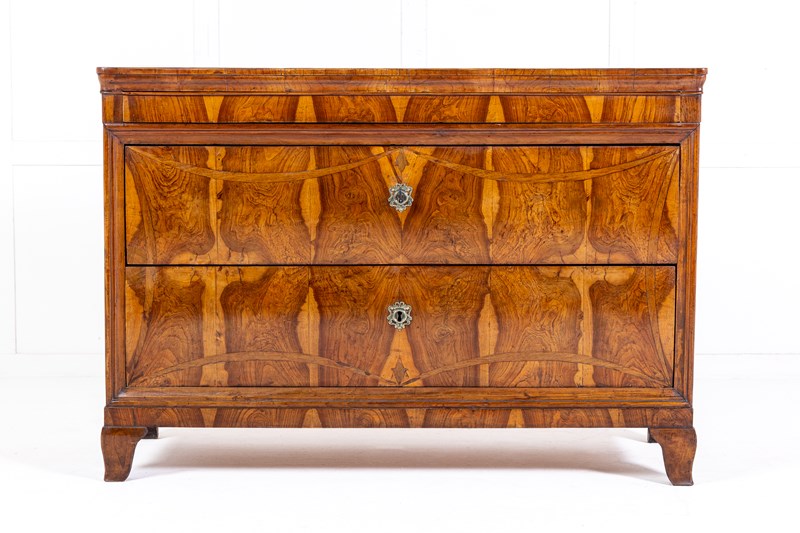 19Th Century Italian Olive Wood Commode-lee-wright-antiques-231211-104748-op-copy1-main-638388337098802867.jpg