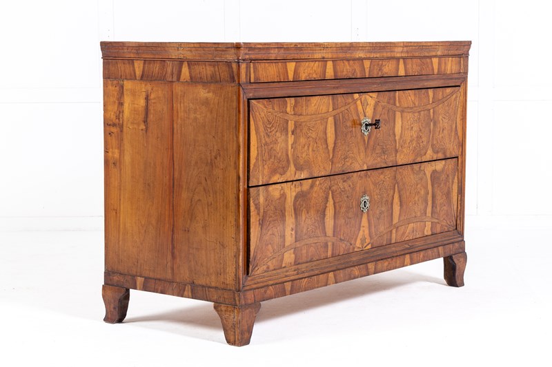 19Th Century Italian Olive Wood Commode-lee-wright-antiques-231211-105341-op-copy1-main-638388338209035741.jpg