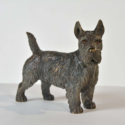 Austrian Cold Painted Bronze Of A Scottish Terrier, Or 'Scottie Dog'
