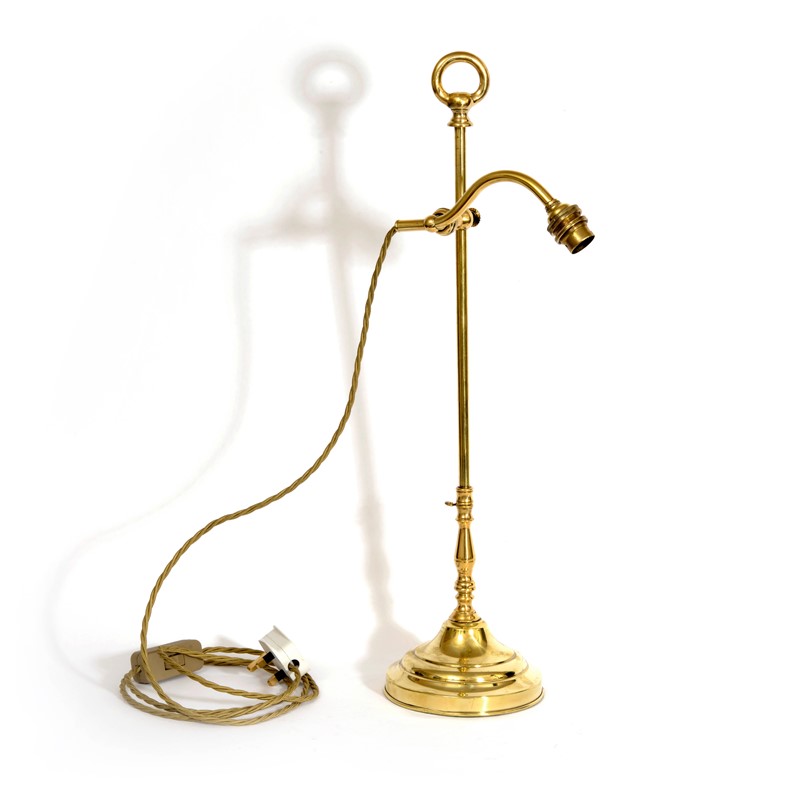 A brass swan neck table lamp-leslie-baggott-lb14197-2-main-637605870801395557.jpg