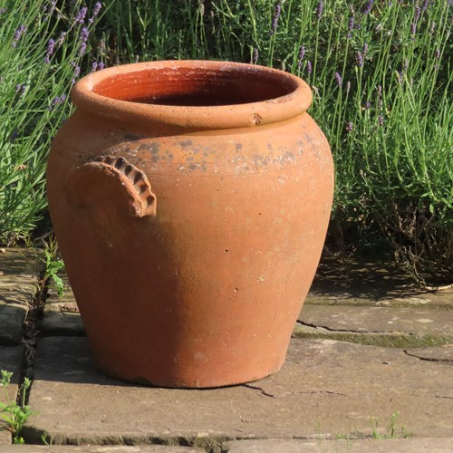 Old Terracotta Plant Pot