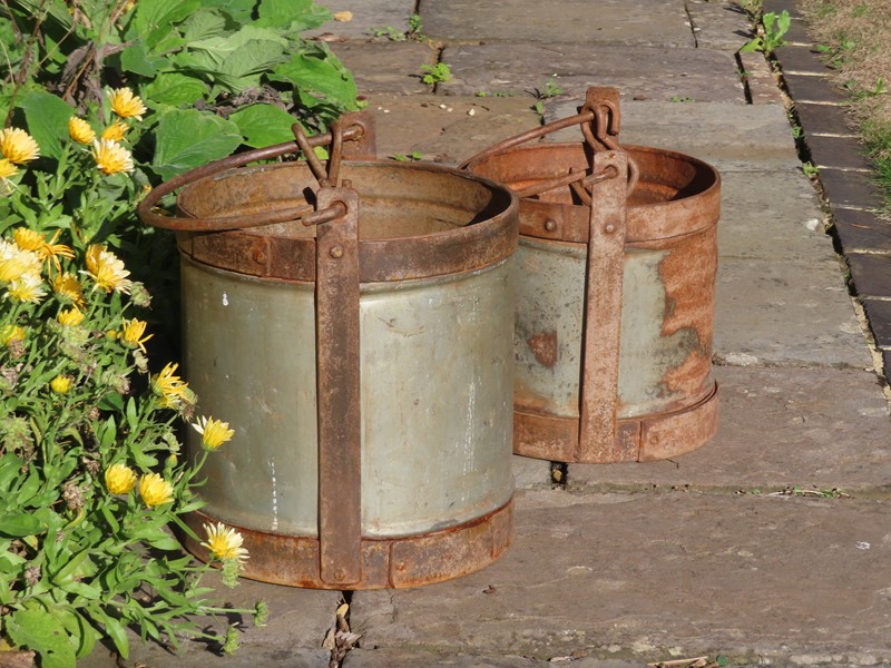 Old iron garden buckets-lichen-garden-antiques-1885-antique-garden-buckets-main-638005784122358093.jpg