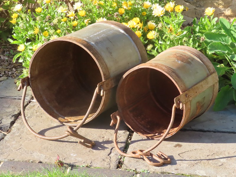 Old iron garden buckets-lichen-garden-antiques-1885-iron-buckets-main-638005784419073573.jpg
