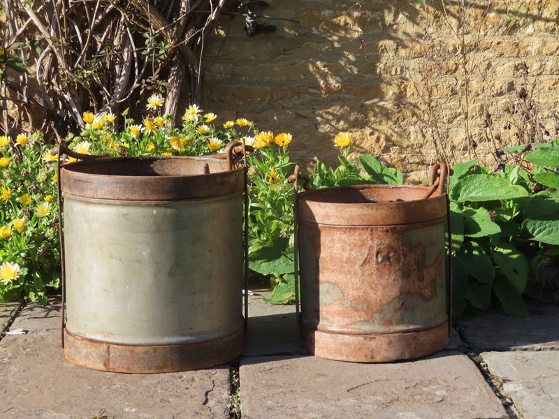 Old iron garden buckets-lichen-garden-antiques-1885-old-garden-pails-main-638005784587204694.jpg