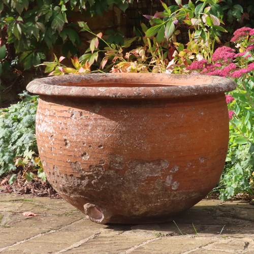 Large Terracotta Plant Pot