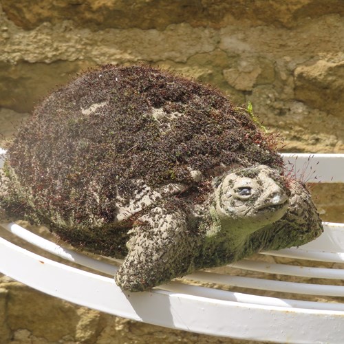 Mossy Antique Tortoise Figure