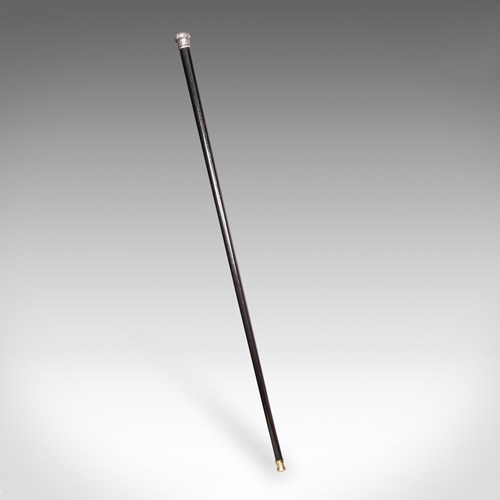 Antique Dandy’S Walking Cane, English, Stick, Ebonised, Victorian, 1889 Hallmark