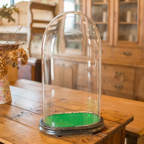 Large Antique Botany Display Dome, English, Glass, Specimen Showcase, Victorian