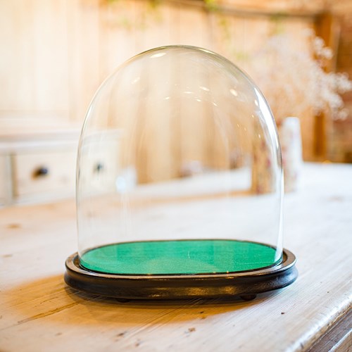 Wide Antique Clock Dome, English, Glass, Pine, Display Showcase, Victorian, 1860
