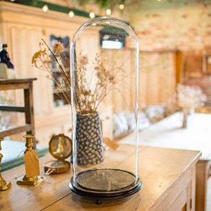 Tall Antique Taxidermy Showcase, En...