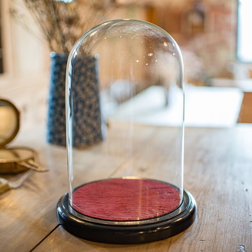 Small Antique Display Case, English, Glass, Taxidermy Dome, Victorian, C.1900