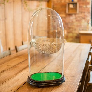 Large Antique Oval Clock Dome, Engl...