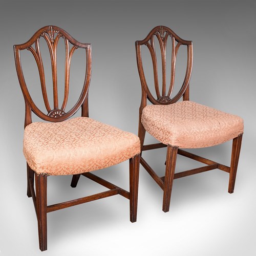 Pair Of Antique Hepplewhite Side Chairs, English, Fruitwood, Hall Seat, Georgian