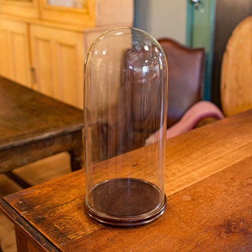 Tall Antique Taxidermy Dome, English, Glass, Collector’S Display, Late Victorian