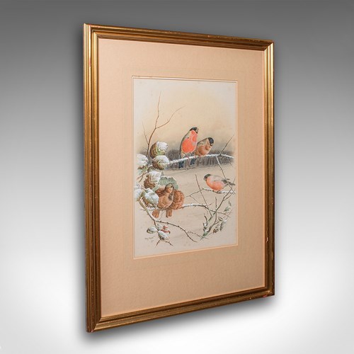 Antique Watercolour Finch Painting, English School, Art, Harry Bright, Victorian